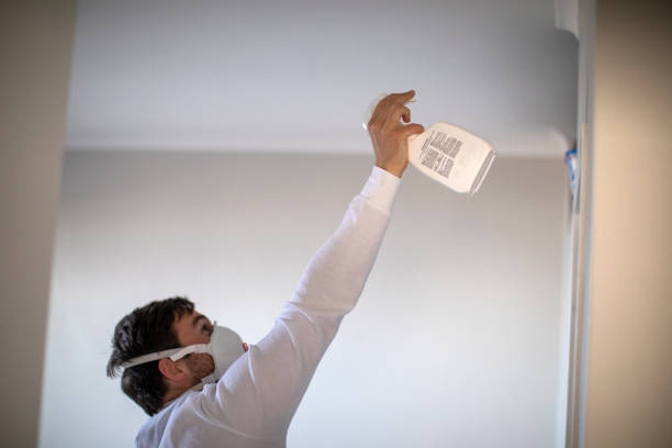 Best Affordable Mold Removal  in Minerva, OH