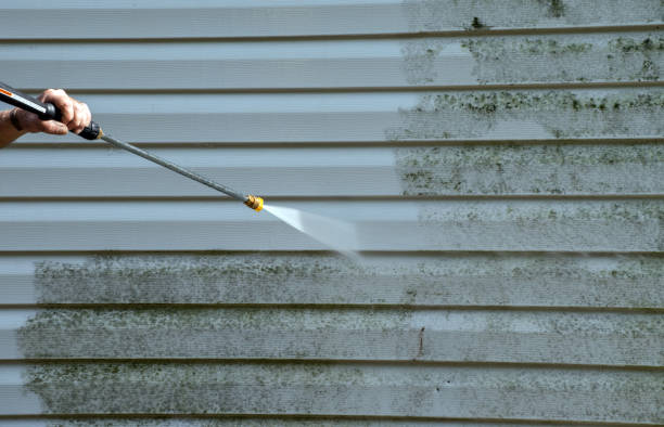 Mold Removal and Inspection in Minerva, OH